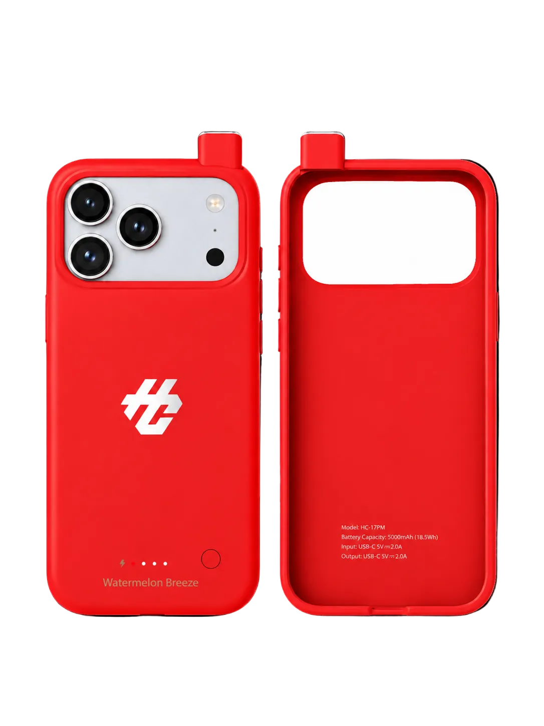 Watermelon Breeze Case